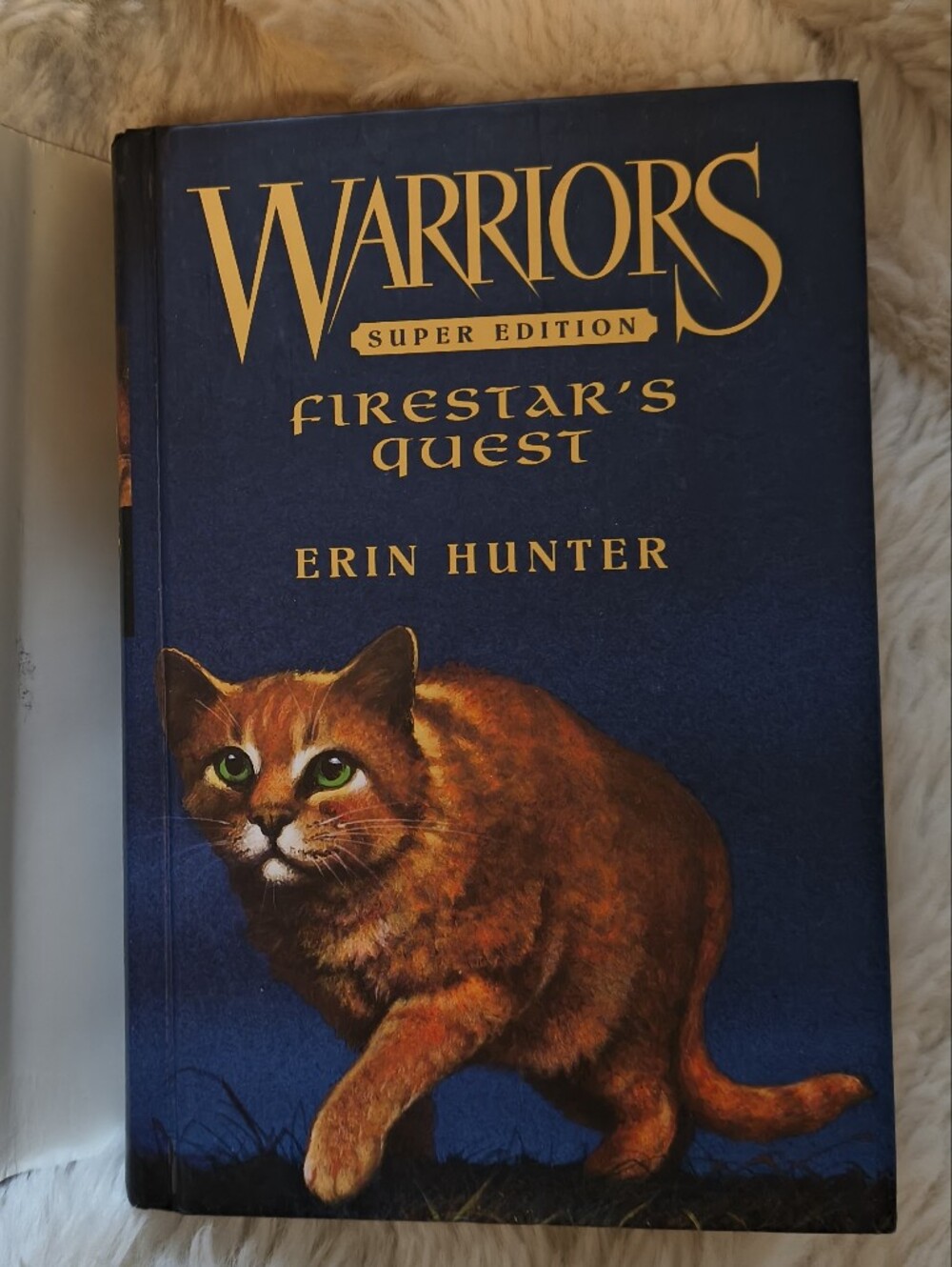 Warriors Super Edition: Firestar's Quest Hardcover